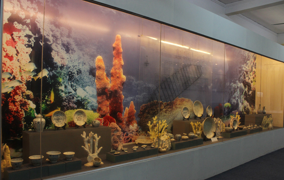 Kết quả hình ảnh cho Bảo tàng sinh vật biển cù lao chàm