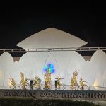 Mua vé show cá heo đà nẵng